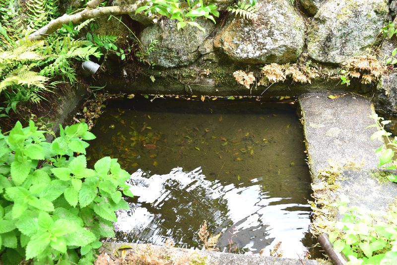 宇部市小野に歴史上新事実が見つかる　その②・・・財満家の館跡 _d0061579_10411737.jpg