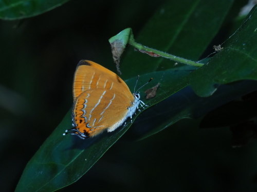 f0348480_12563974.jpg