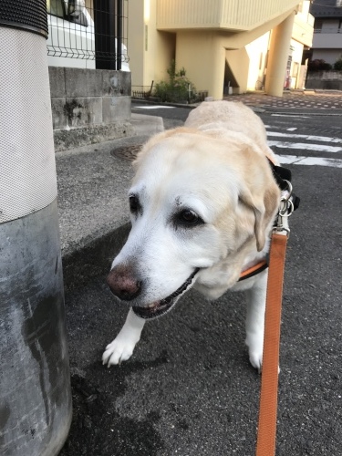 f0315081_23143703.jpeg