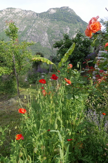 a0278382_15434770.jpg