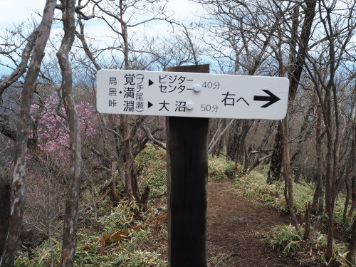 e0015490_10335406.jpg