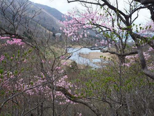 e0015490_10341540.jpg