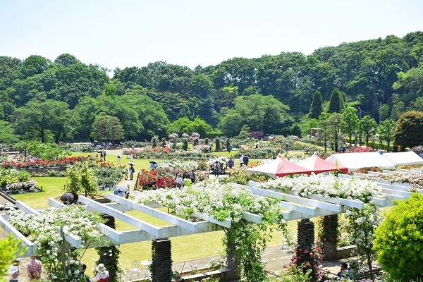 d0099791_22435236.jpg