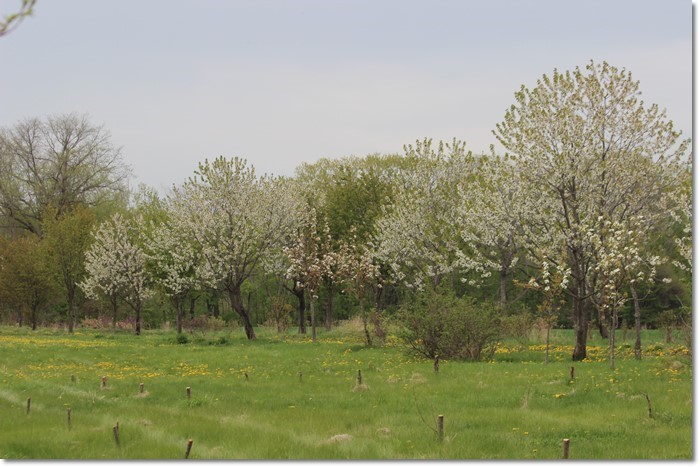 f0146493_20502514.jpg