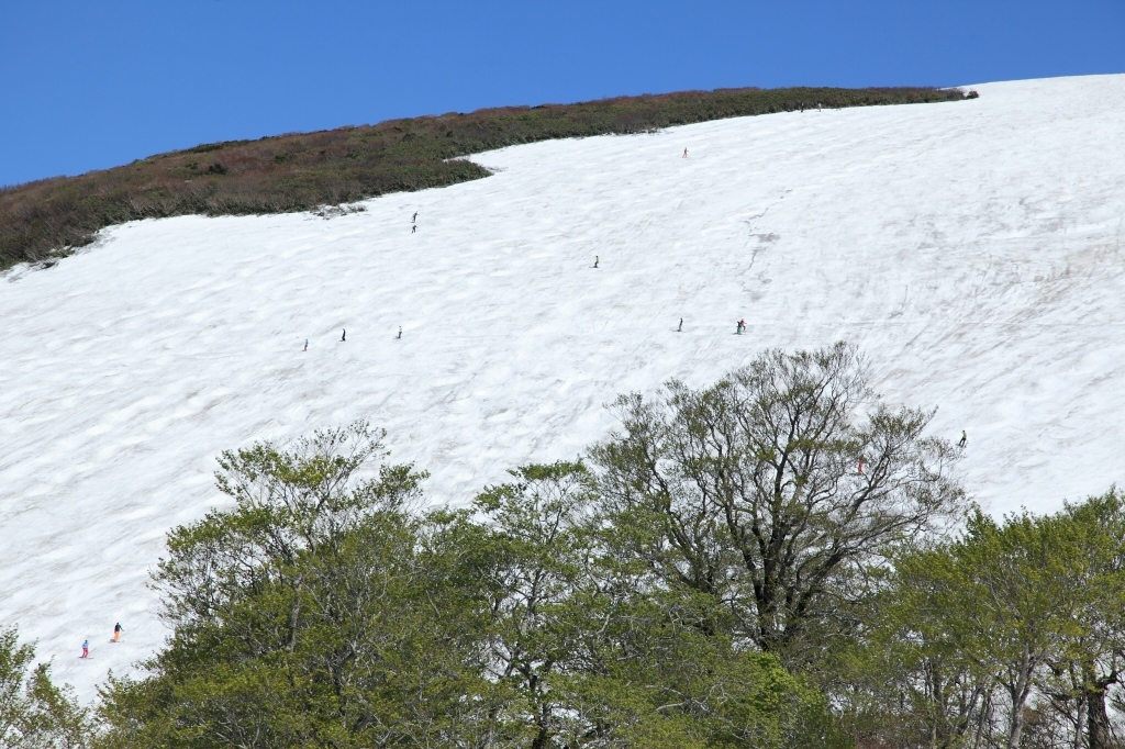 2019.05.25 避暑登山（月山）_b0050305_08115404.jpg