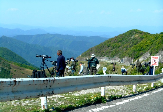 地獄 極楽 伊吹山のイヌワシ撮影 写録番外編