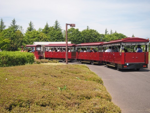 c0117007_21012338.jpg