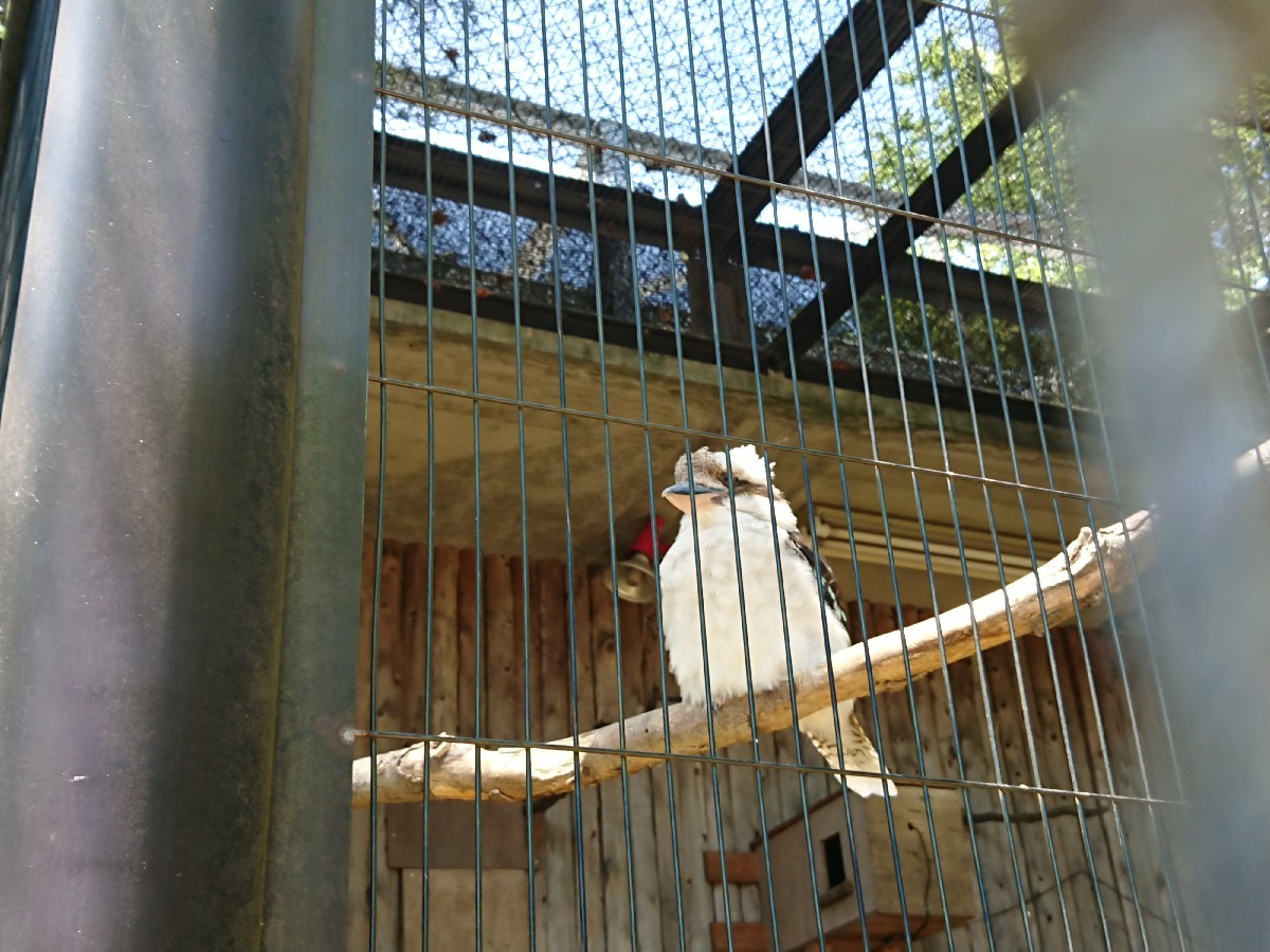 5/26 ウォーキング大会@多摩動物公園_b0042308_14535384.jpg