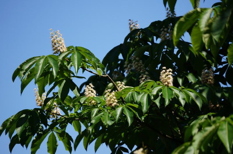 d0359010_23475360.jpg