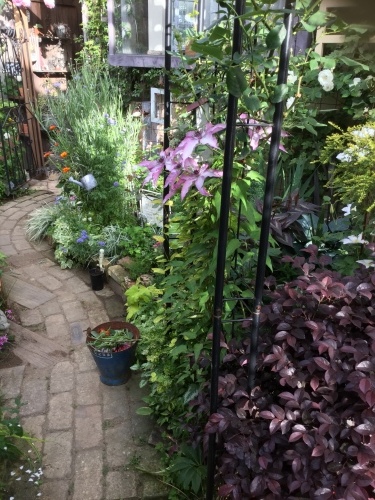 d0078312_06312421.jpeg