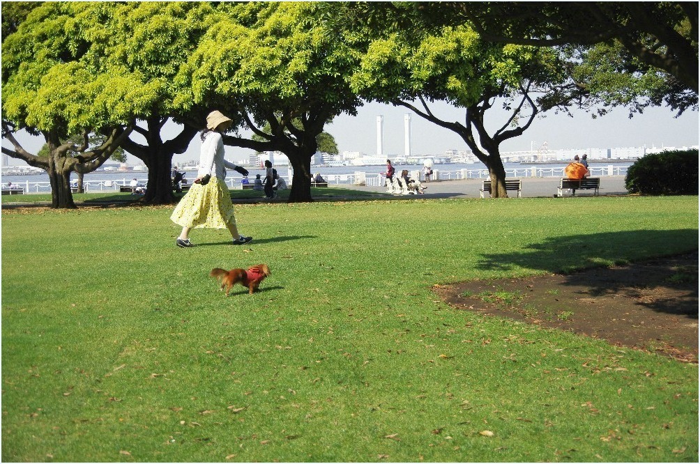 それぞれの時間_c0352813_12050779.jpg
