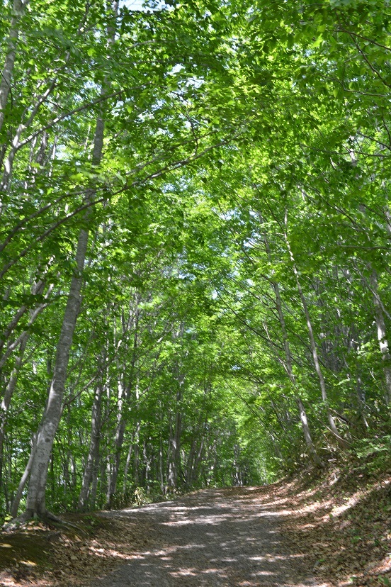 e0349817_22235105.jpg