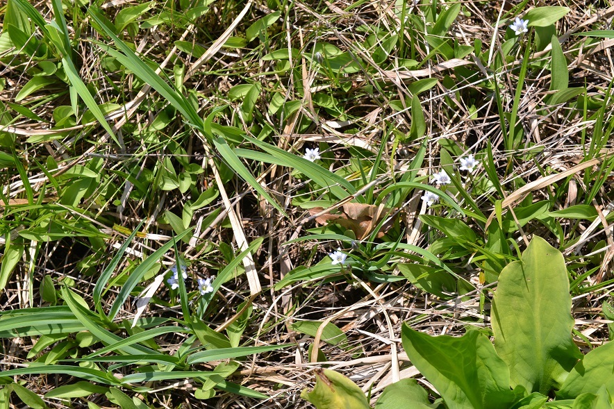 e0349817_22245027.jpg