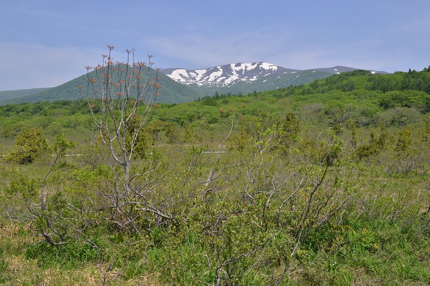 e0349817_22251631.jpg