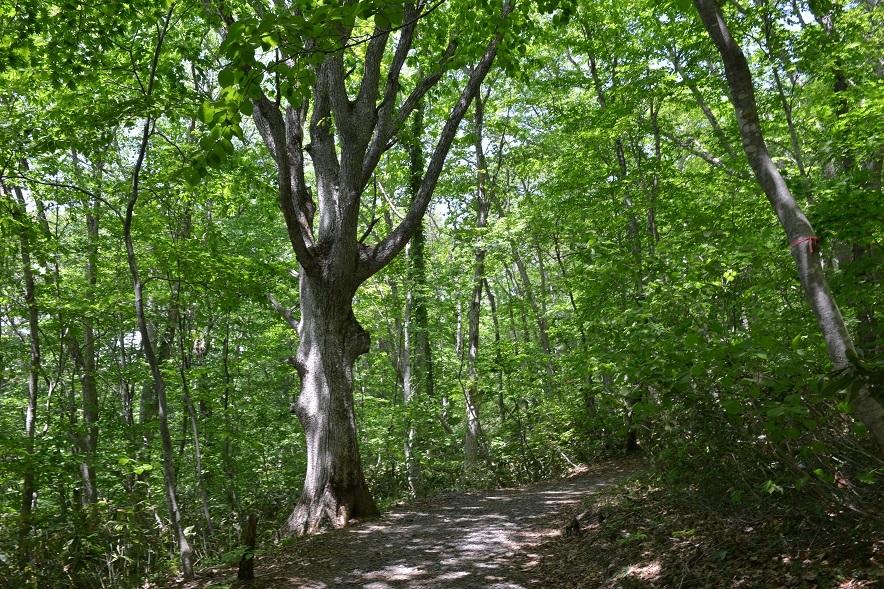e0349817_22252634.jpg