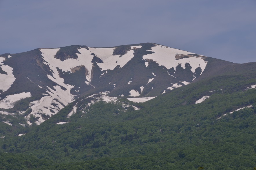 e0349817_22260964.jpg