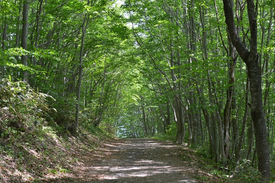 e0349817_22270475.jpg