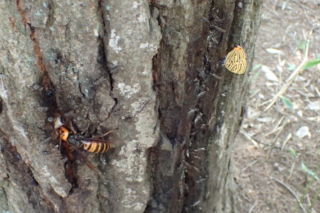 c0353632_16004795.jpg