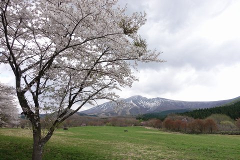 b0042334_16401371.jpg