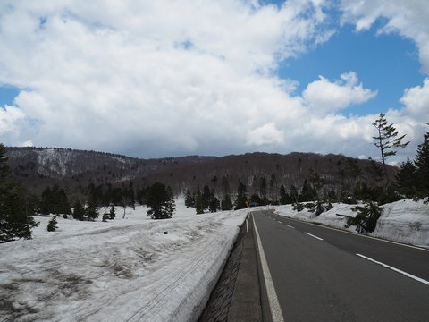 b0042334_16402192.jpg