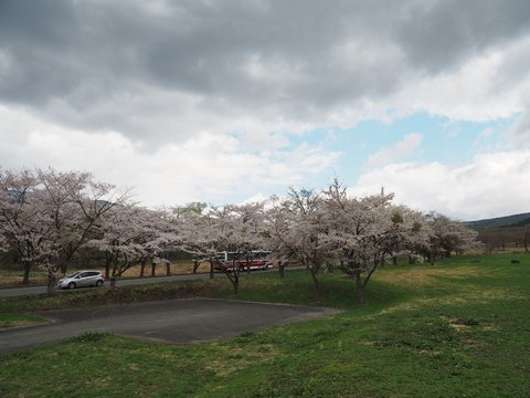 b0042334_1640794.jpg