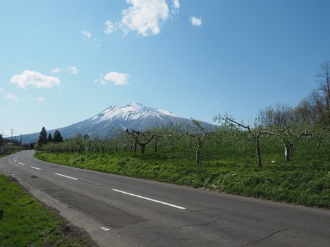 b0042334_16464944.jpg