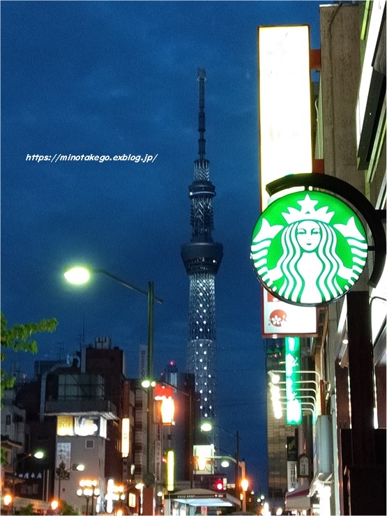 母に幸せをくれる 息子の独立_e0343145_22542379.jpg
