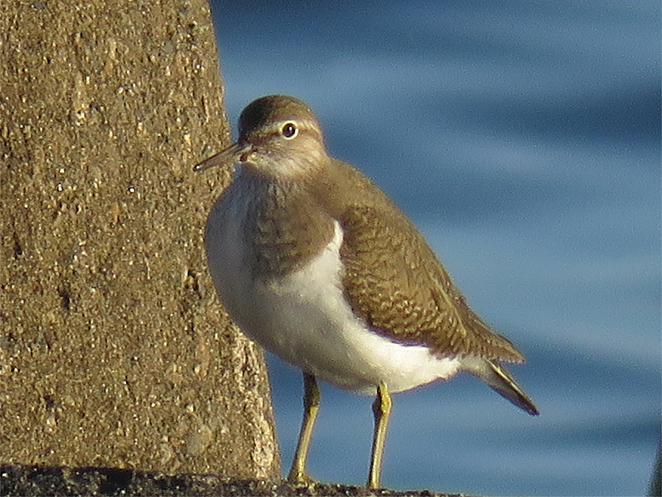 f0214649_03575278.jpg