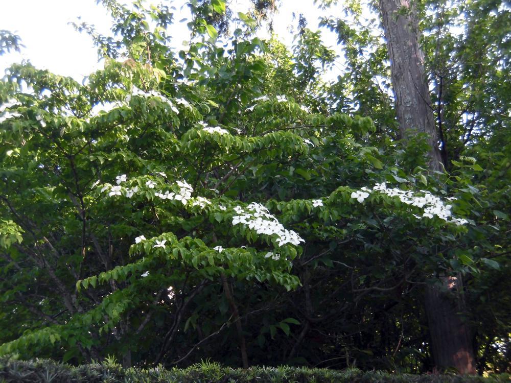 e0024554_00042358.jpg