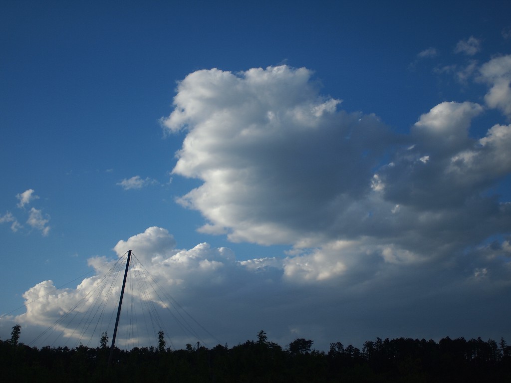 b0319255_21455646.jpg