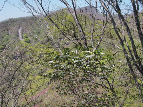 b0335256_14450055.jpg