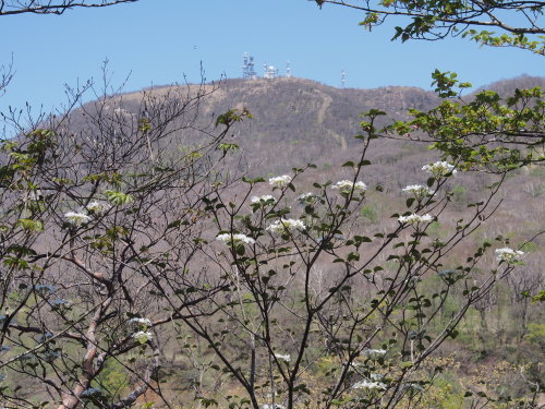 b0335256_14461290.jpg