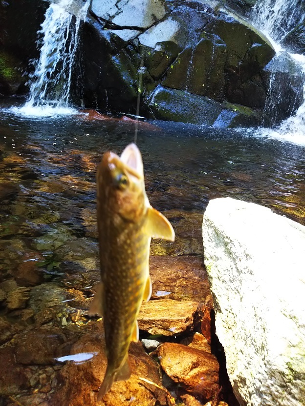 源流の岩魚釣り_d0007657_18054853.jpg