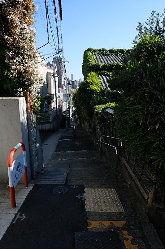 f0079061_18213587.jpg
