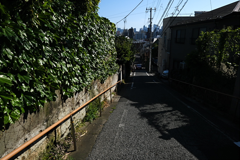 f0079061_18220577.jpg