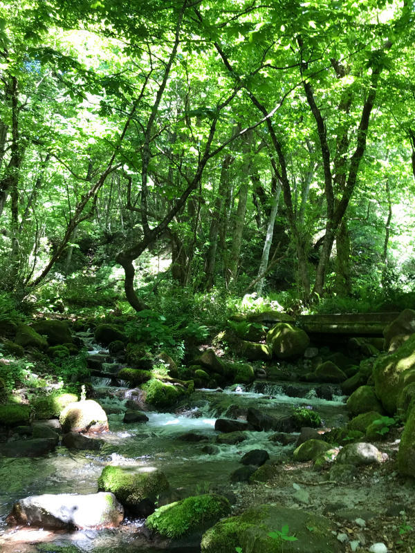 大山の旅日記 ②_d0318965_21191335.jpg