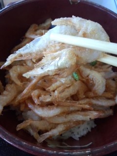 新湊きっときと市場 白エビかきあげ丼と新湊名物白エビソフト_f0112873_215194.jpg