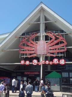 新湊きっときと市場 白エビかきあげ丼と新湊名物白エビソフト_f0112873_217554.jpg