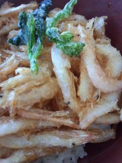 新湊きっときと市場 白エビかきあげ丼と新湊名物白エビソフト_f0112873_310713.jpg