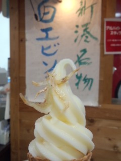 新湊きっときと市場 白エビかきあげ丼と新湊名物白エビソフト_f0112873_339089.jpg