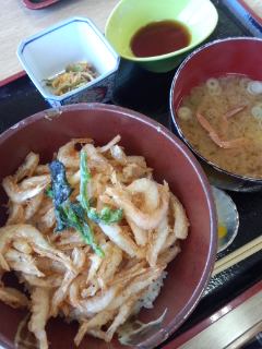 新湊きっときと市場 白エビかきあげ丼と新湊名物白エビソフト_f0112873_385985.jpg