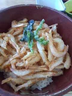 新湊きっときと市場 白エビかきあげ丼と新湊名物白エビソフト_f0112873_392836.jpg