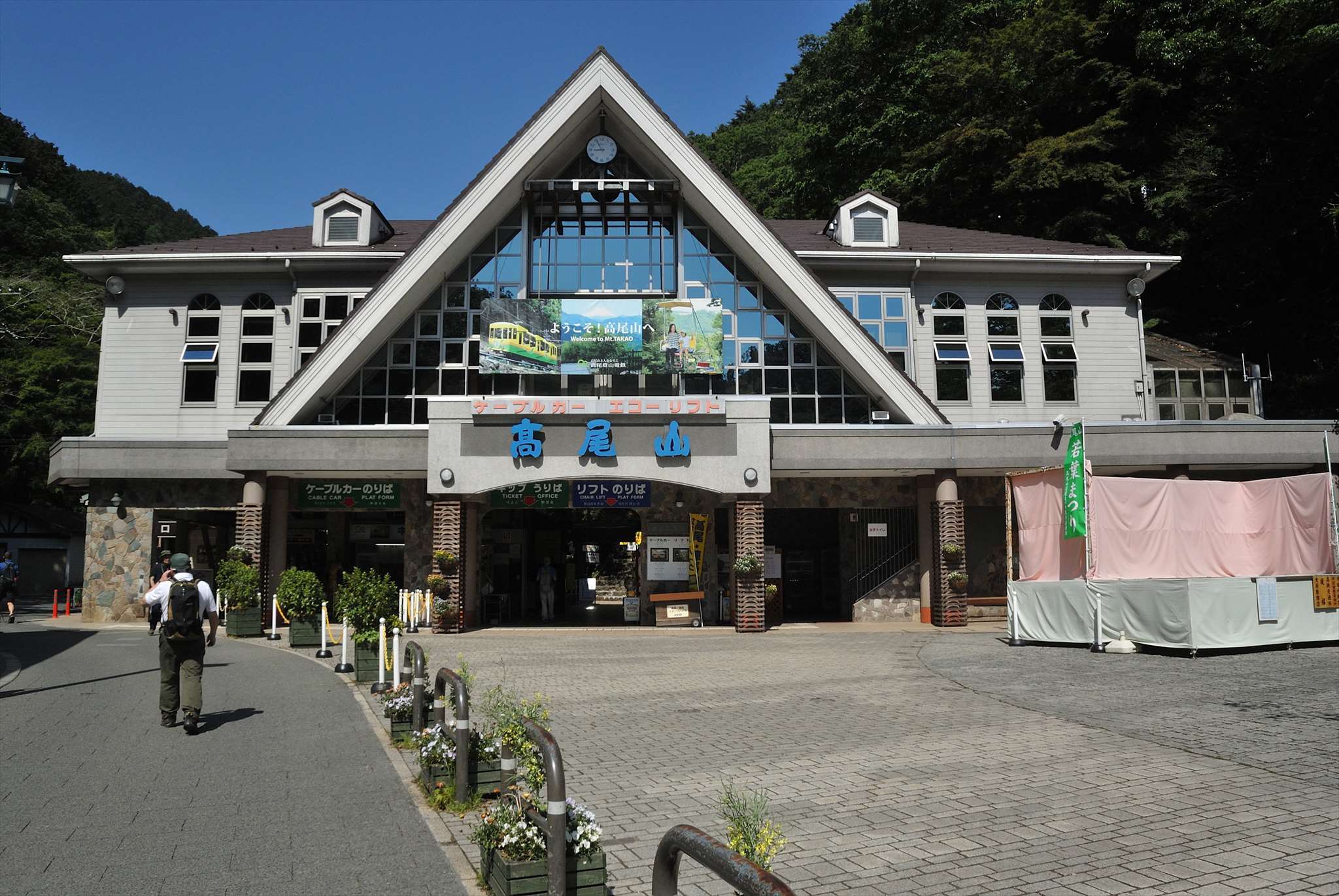 高尾山の花 エビネなど 野の花山の花ウォッチング In 奥多摩 高尾山の花 エビネなど 野の花山の花ウォッチング In 奥多摩