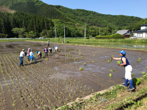 映画「どこかに美しい村はないか」ばっちゃの田植えが素晴らしい!_a0053480_04272030.jpg