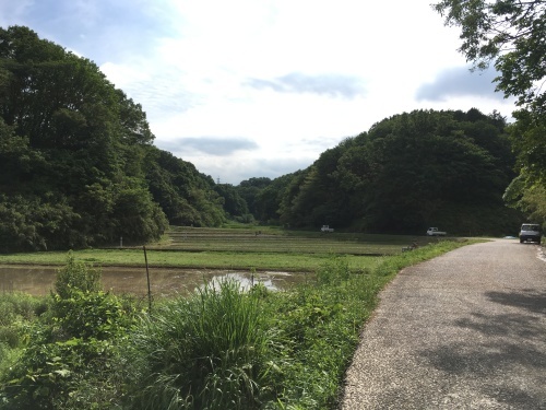 e0272081_22032141.jpeg