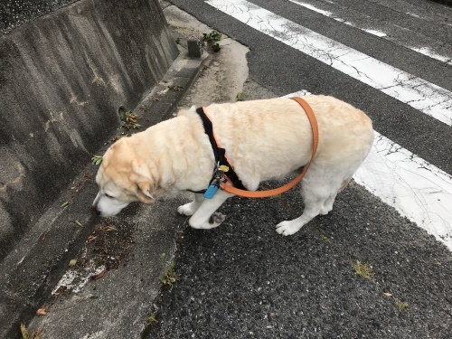 f0315081_21590575.jpeg