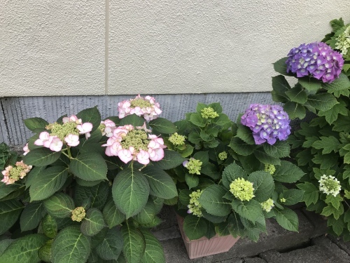 f0315081_21594610.jpeg