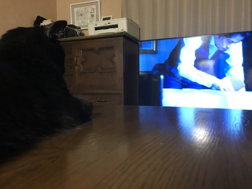 a0216583_22465135.jpeg