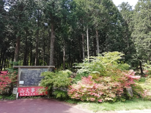 榛名湖に避難_c0212083_14474721.jpg