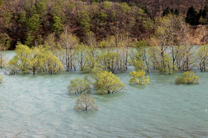 e0165983_10325342.jpg
